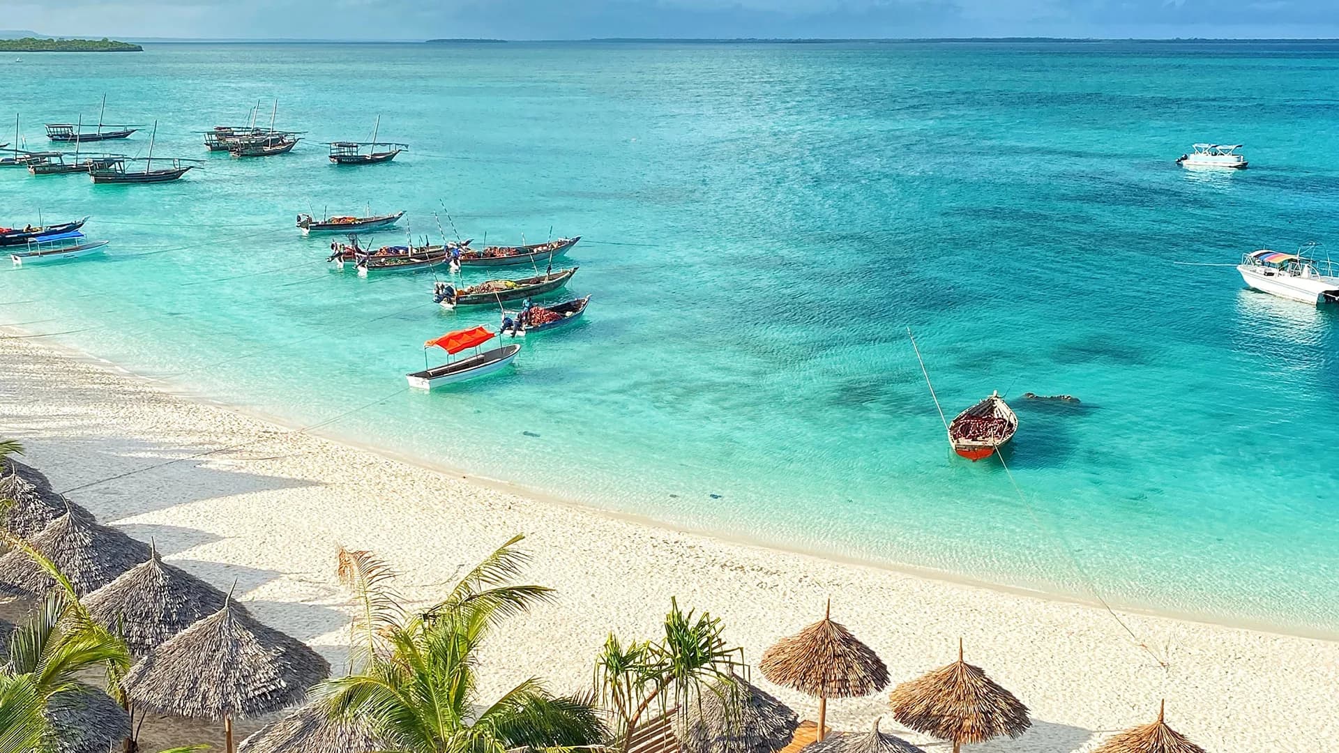 Serengeti & Zanzibar Beach — Serengeti & Zanzibar, Tanzania safari experience