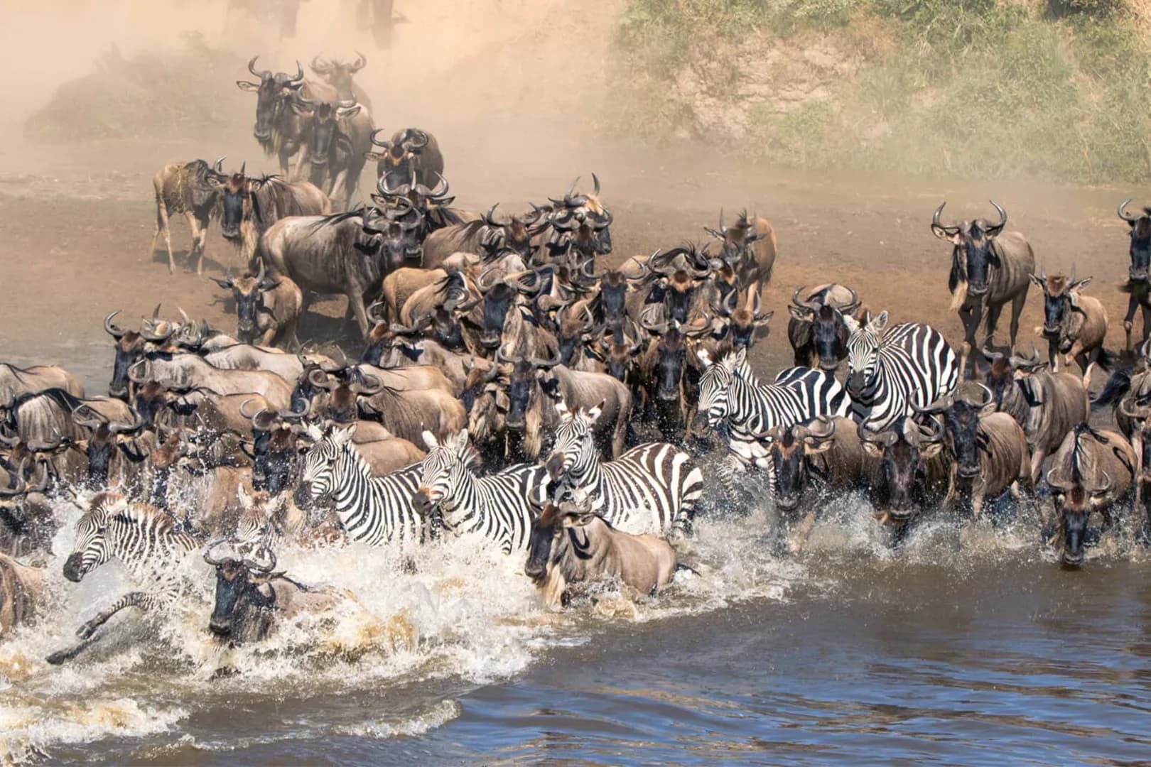 Serengeti Migration Safari — Serengeti, Tanzania, Tanzania safari experience