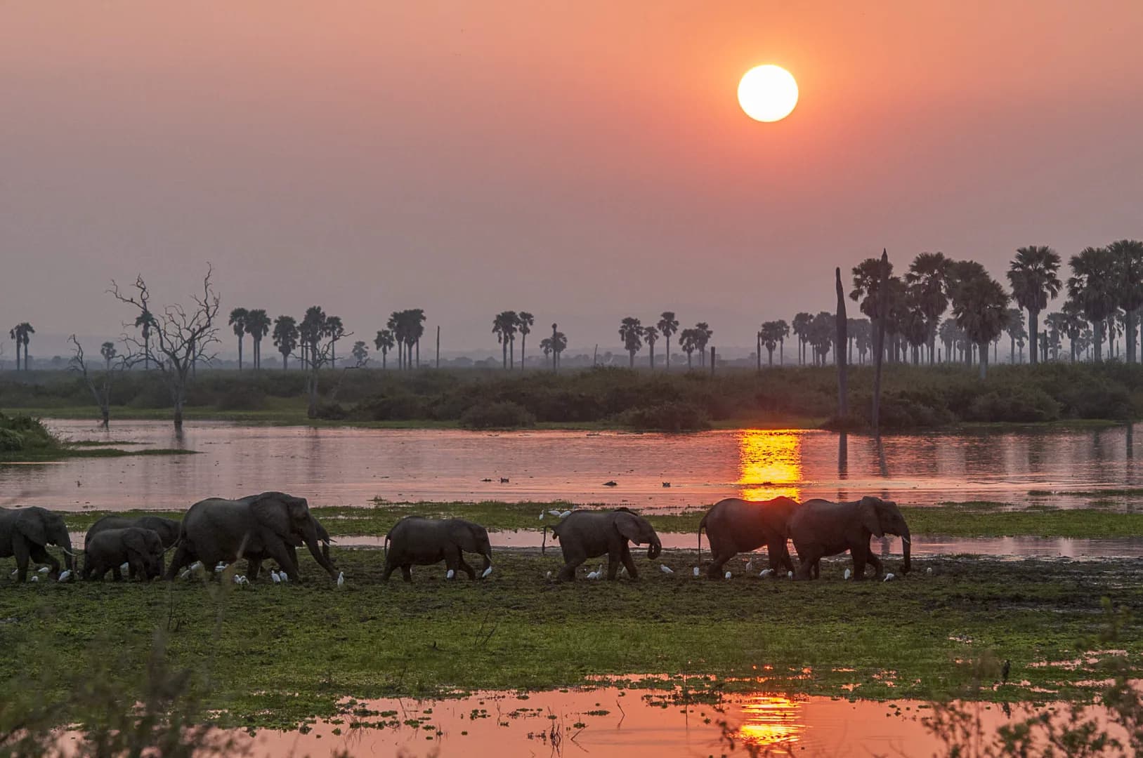 Nyerere Game Reserve Safari — Nyerere National Park, Tanzania safari experience