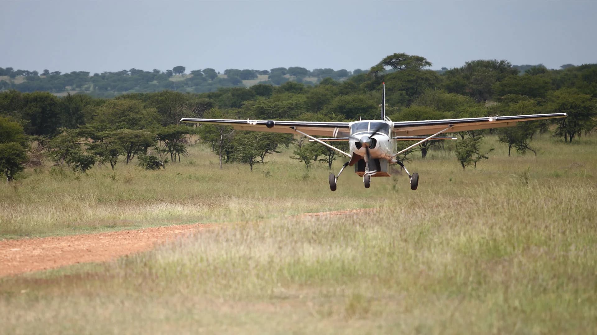 Fly-In Remote Ruaha Camp — Ruaha National Park, Tanzania safari experience