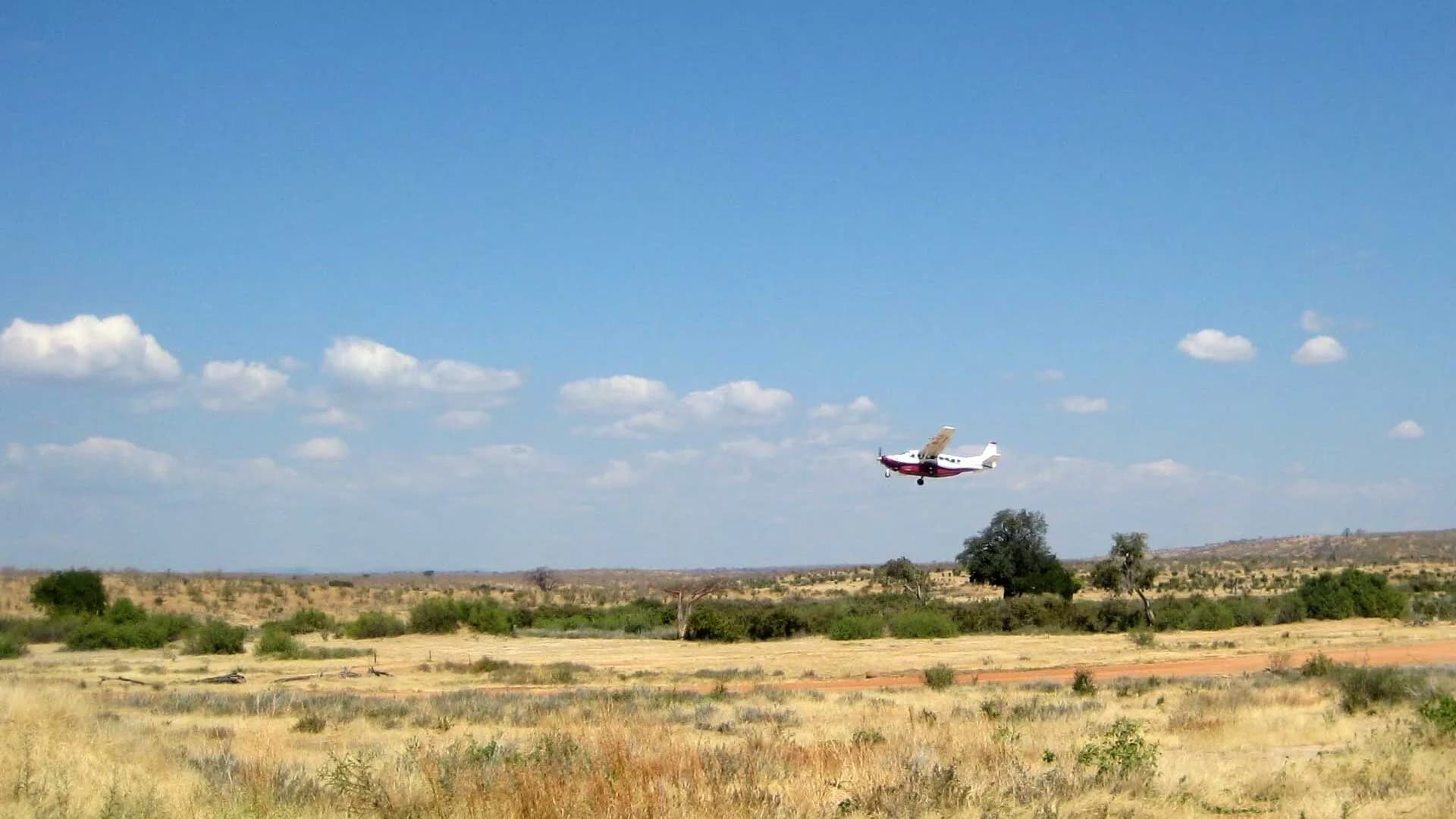 Fly-In Serengeti by Bush Plane — Serengeti, Tanzania safari experience